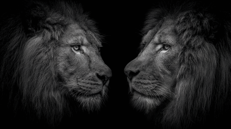 Presionar es crear: la estética de Irurita y Endika